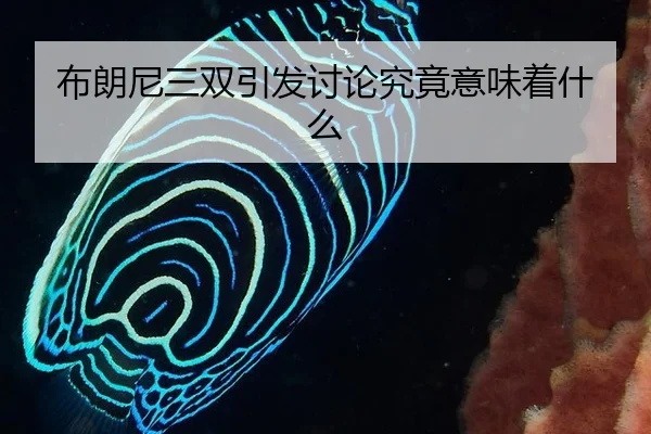 bu-lang-ni-san-shuang-yin-fa-tao-lun-jiu-jing-yi-wei-zhe-shen-me-2-140.jpg