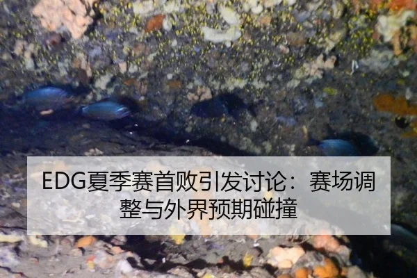 EDG夏季赛首败引发讨论：赛场调整与外界预期碰撞